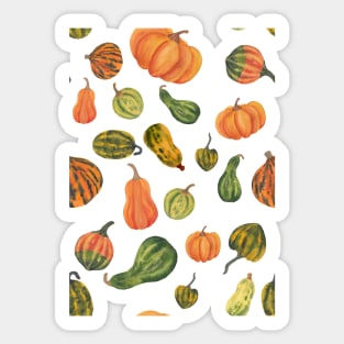 Pumpkins Watercolor Illustration Sticker